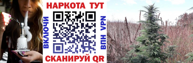 Галлюциногенные грибы Шебекино