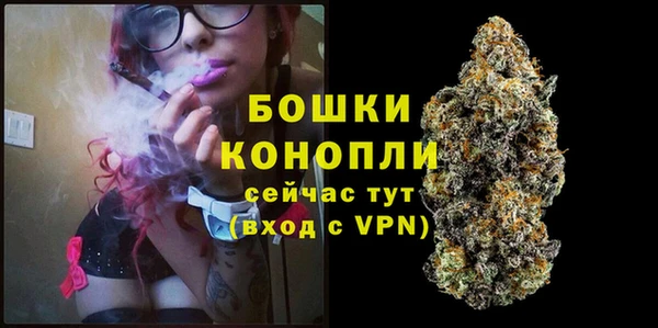 трава Абаза