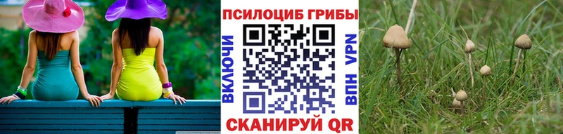 Галлюциногенные грибы Cubensis  Шебекино 