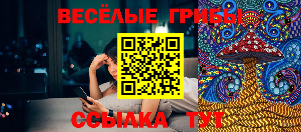 Галлюциногенные грибы Psilocybe  Вход с VPN  Шебекино 